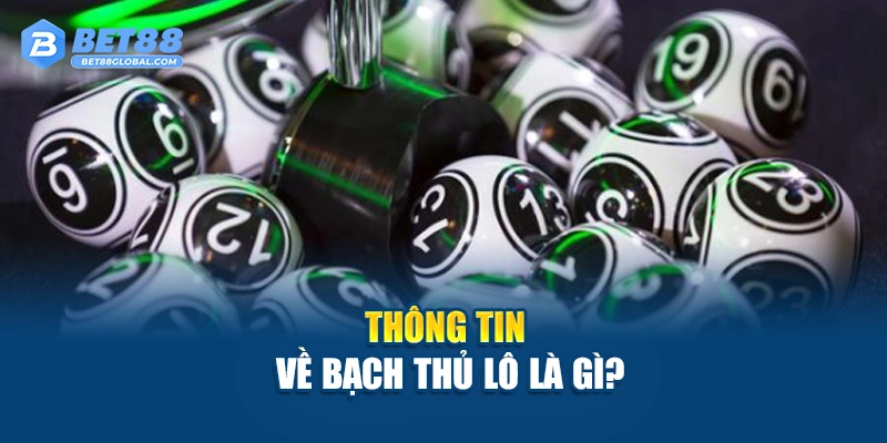 Thông tin về bạch thủ lô là gì?
