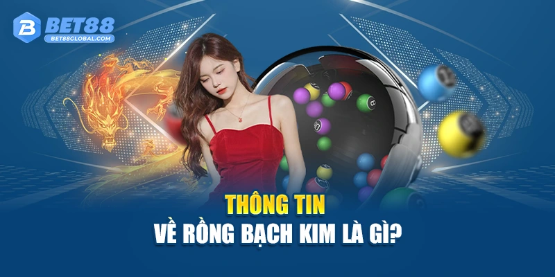 Thông tin về Rồng Bạch Kim là gì?